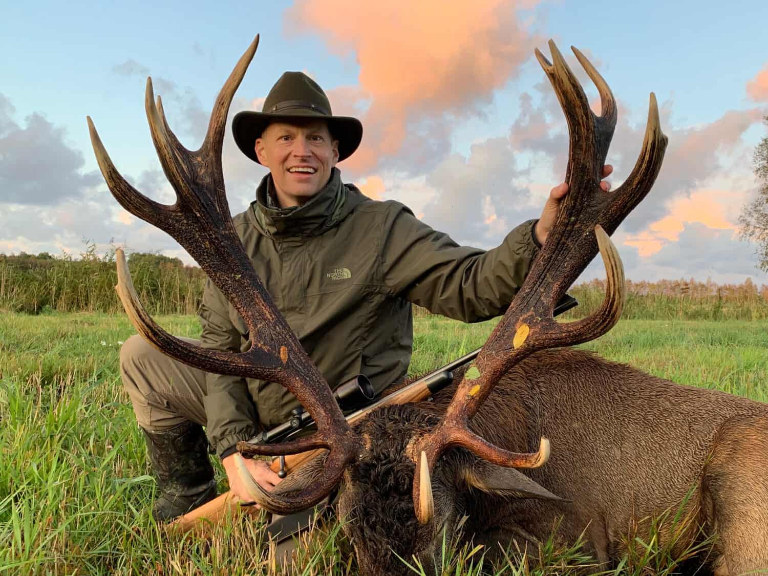 Chasse du cerf rouge