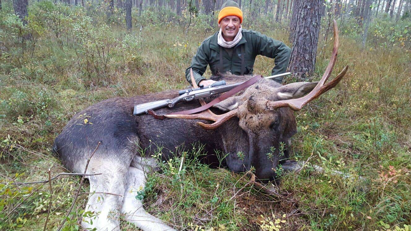 Chasse à l'Élan